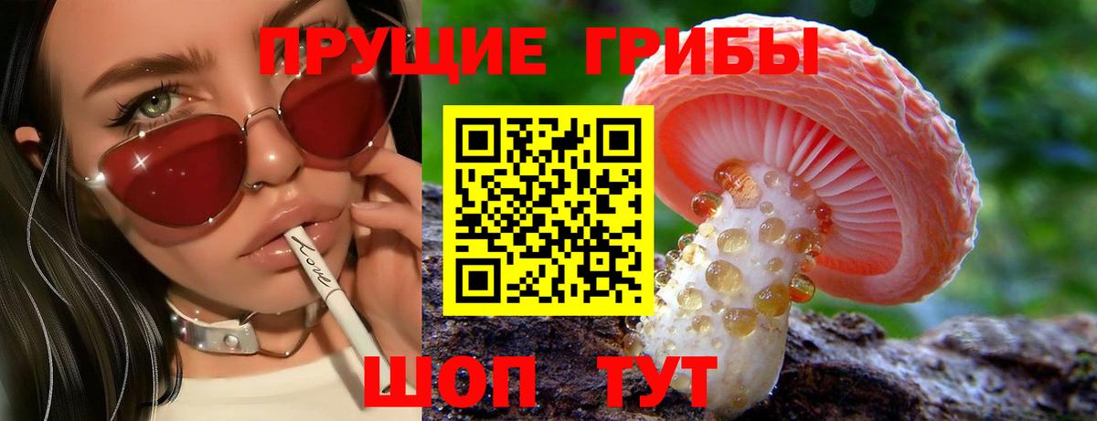 Псилоцибиновые грибы Psilocybine cubensis  купить наркоту  Тайшет  Вход с VPN 
