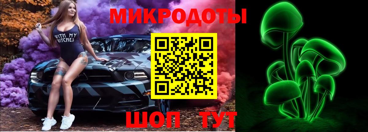 Псилоцибиновые грибы Psilocybe Тайшет