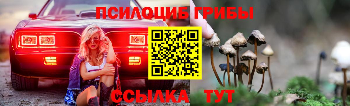 Тайшет  Гашиш  КОКАИН  APVP СК   Вход с VPN  Конопля  МЕФ кристаллы  ГАШИШ 